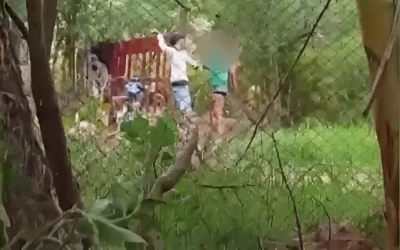 Hombre agredió brutalmente a su pareja a la vista de sus vecinos