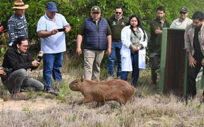 Animales que nacieron en cautiverio son devueltos a su hábitat natural