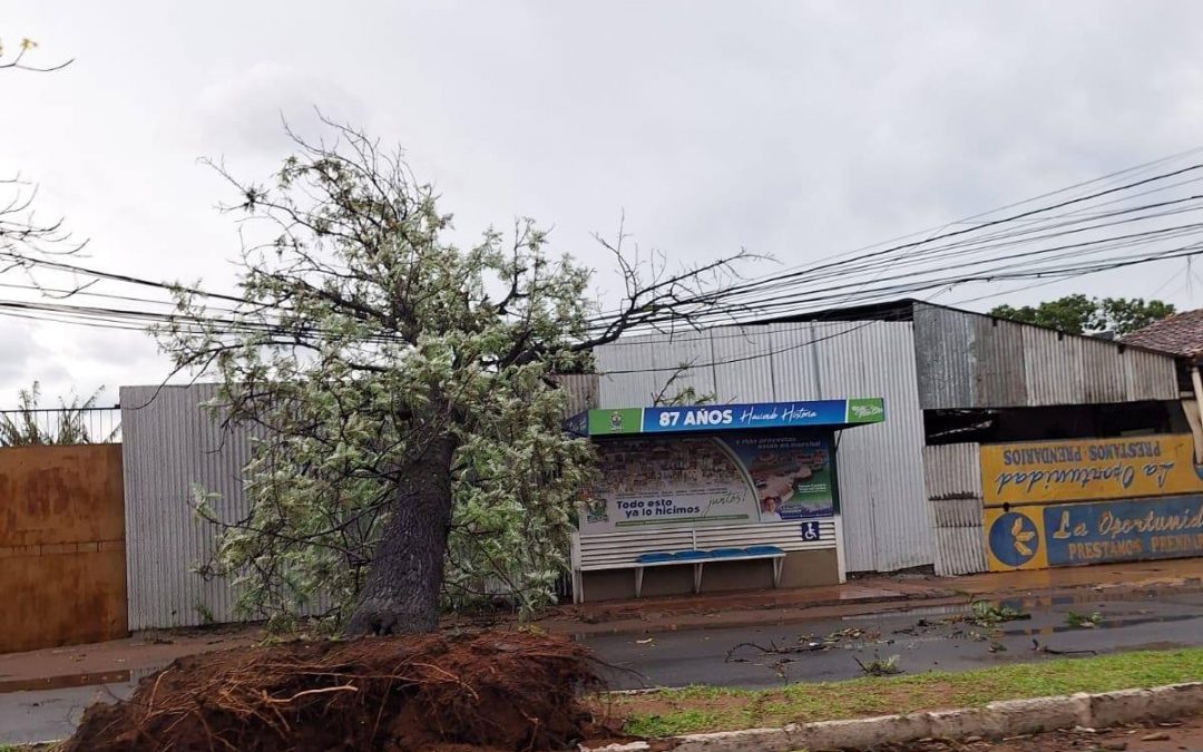 Fuertes vientos y destrozos durante intenso temporal en varios puntos del país