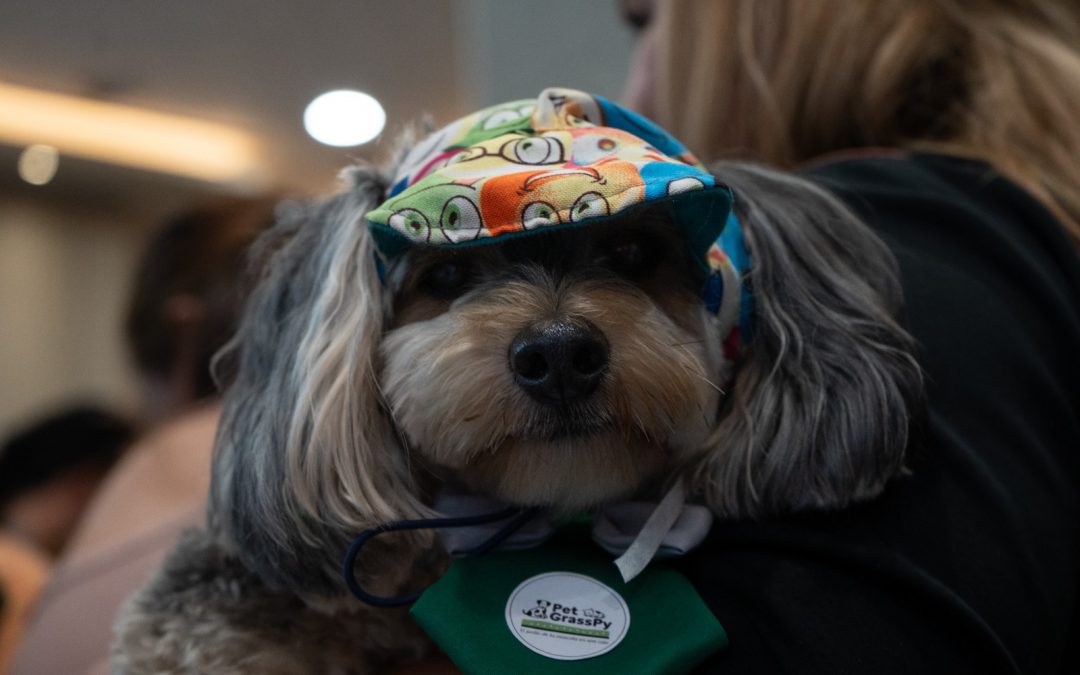 Agrofield ofrece un portfolio completo para el bienestar de las mascotas