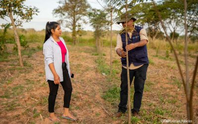 A través de Proeza, comunidades nativas y rurales construyen un futuro sostenible en Paraguay