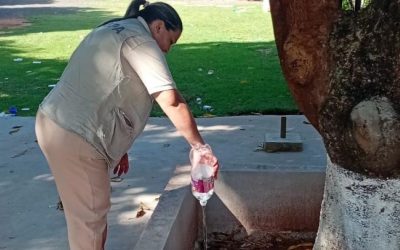 Senepa fortalece trabajos de prevención de arbovirosis en puntos estratégicos