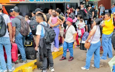 Horarios de buses quedan liberados desde este lunes