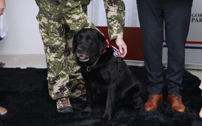 Otorgan reconocimiento a “Rocky”, el perro héroe de la Senad