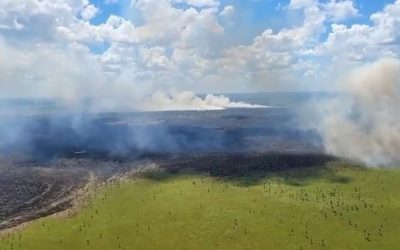 Reportan un incendio de gran magnitud en Chaco’i