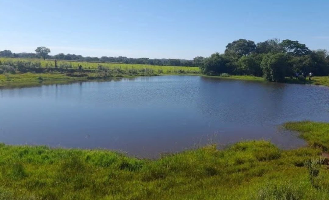 Carmen del Paraná: Encuentran un cadáver en un tajamar