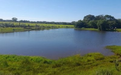 Carmen del Paraná: Encuentran un cadáver en un tajamar