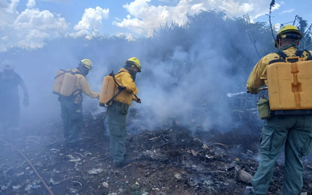 Bomberos logran controlar incendio en la Costanera Sur
