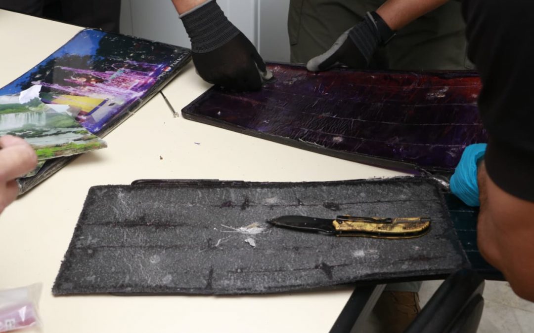 Canes antidrogas detectaron cocaína en cuadros artísticos que iban a Australia