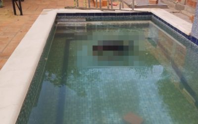Albañil fue hallado sin vida en la piscina de una quinta en Roque Alonso