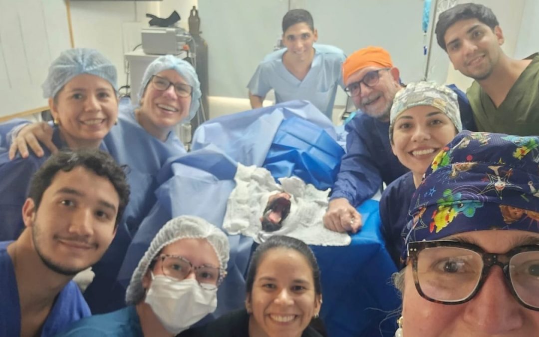 Tras exitosa cirugía, Canela ya cuenta con prótesis mandibular