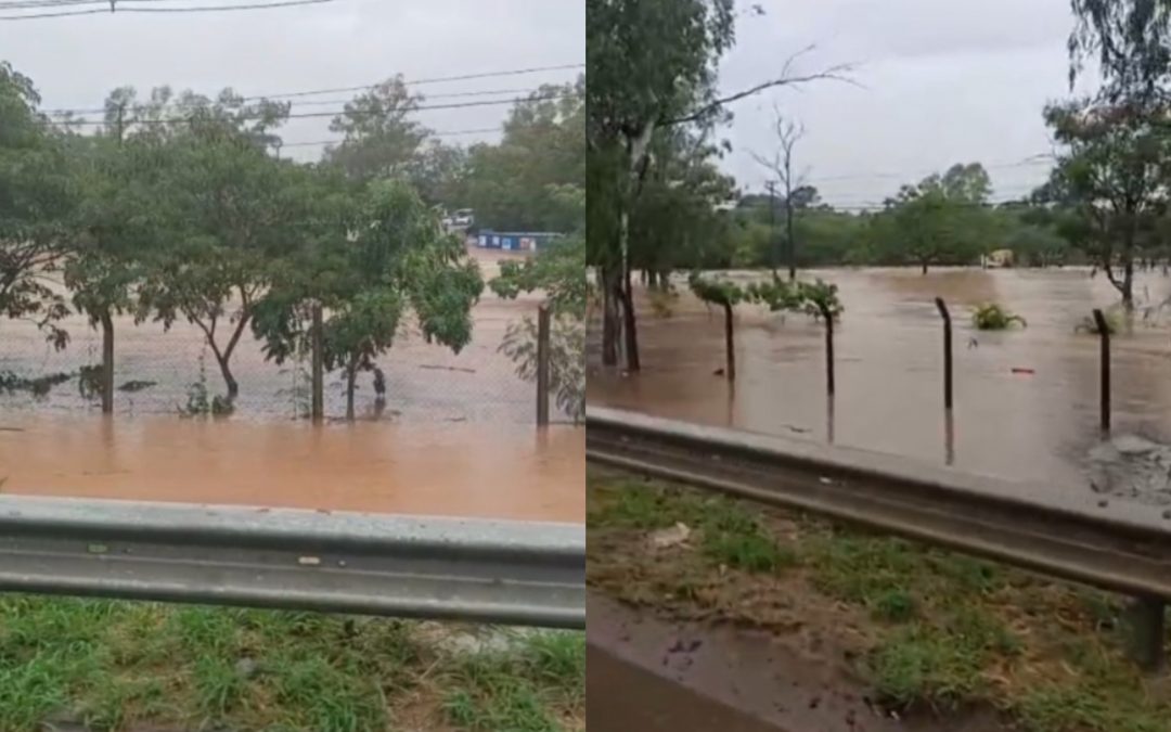 Parques Ñu Guasu y Guasu Metropolitano, cerrados hasta nuevo aviso