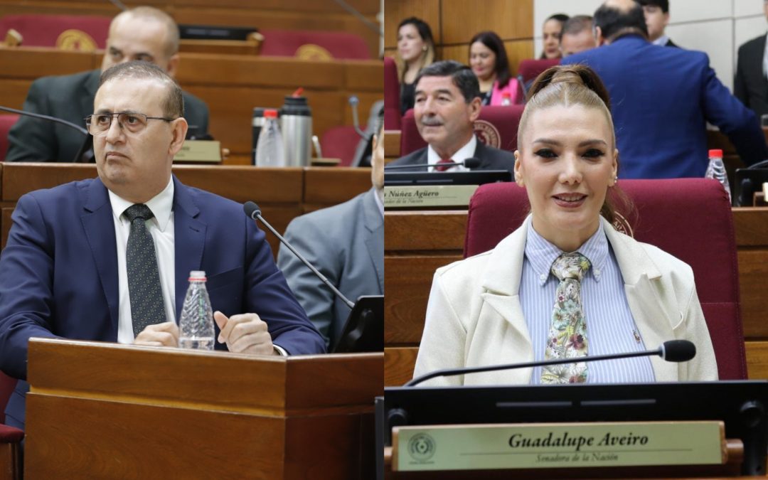 Senado concede permiso a Erico Galeano: asumió la banca Guadalupe Aveiro