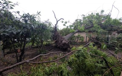 Al menos 30 viviendas destechadas durante temporal en Humaitá