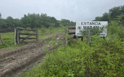 Despliegan operativo ante supuesto accidente aéreo en Alto Paraguay