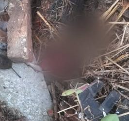 Feto fue arrojado en un patio baldío en Limpio