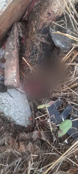 Feto fue arrojado en un patio baldío en Limpio