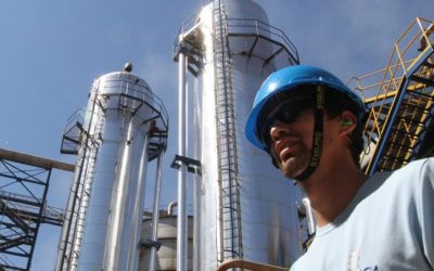 Comportamiento del mercado laboral: reportan aumento en la tasa de ocupados