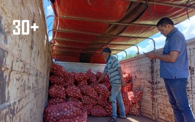 MAG busca formalizar y escalonar la producción familiar para fortalecer mercado interno