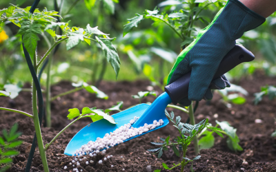 Senave insta a la correcta comercialización de fertilizantes e inoculantes